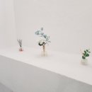 부산에어비앤비 써클스테이 이미지