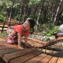 수봉공원 (유아숲체험원) 이미지