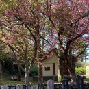 선흘1리경로당 이미지