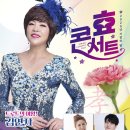 효콘서트 이미지