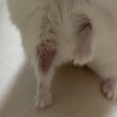 아띠동물병원 이미지