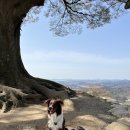 불리빌로우코리아센터 이미지