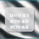 바다의숨결 이미지