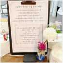 달콤냥 | 금정고양이미용 추천 달콤냥에 다녀왔어요 산본고양이미용 후기