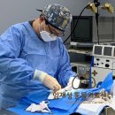 임재성동물의료센터 이미지