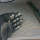 도담하우스 이미지