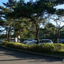 배양2리 이미지