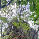 횡성군 어답산(789m) 이미지