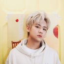 새미 스포츠투데이