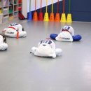 진영라온태권도장 이미지