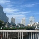하)리듬 업 텅드럼 | 250827 능소화가 예뻤어요 / 몬스타엑스 요코하마 콘서트 일콘 첫콘 후기