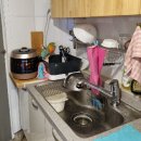 울릉벚꽃 이미지