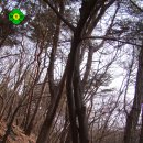 장고개공원 이미지