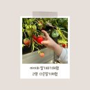 다은농원 이미지