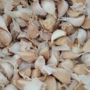 정옥순농장 이미지