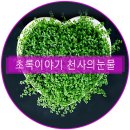 초록이야기