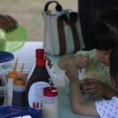 웰니스팜 이미지