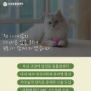 뉴로동물암센터 이미지