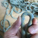 자일의 정 이미지