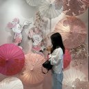 황실미용실 - 서산시 | [ 도쿄 워홀 D+140 ] 머리 자르고 도쿄역 관광🫧🍒