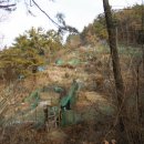 녹산농원 이미지