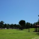 홍경태동물의료원 | [애견동반 울릉도 여행 5편] 여행 꿀팁 대방출!!!! 썬라이즈호 좌석추천/울릉도에서 꼭 먹어야하는 독도...