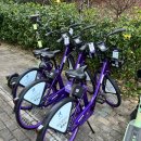 따봉 | 천안 따봉자전거 후기ㅣ저렴하고 안전한 공유자전거 이용방법 총정리!