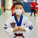 삼송백호태권도장 이미지