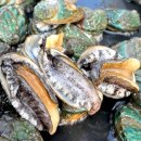 신고집찜 칼국수 이미지