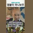 나무아미타불 관세음보살 염불이 마니보주입니다 ! 이미지