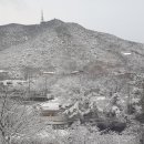 인천 눈풍경 이미지