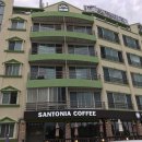 낙산7호넷비치 이미지