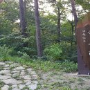 국립대관령자연휴양림 이미지