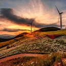 영남목장 이미지