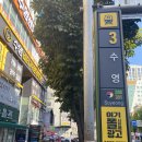 호두약국 | 부산 수영역 디저트 따뜻한 겨울 간식, 달콤한호두 수영점 🐿️☕️