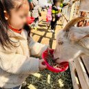 윤희유치원 이미지