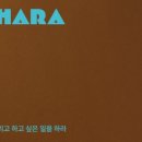 사하라라이프