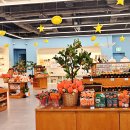 리틀프린스 이미지