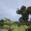 이화동산 이미지