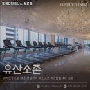 도미디피트니스 이미지
