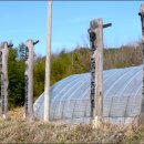 곡성-265 이미지