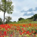 큰장길 침구류 명물거리 | 🚶‍♀️ 옛것과 새것이 공존하는 매력! 대구 서구 가볼만한 곳 BEST 4