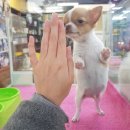 유리장 이미지