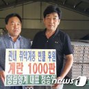 양림양계 이미지