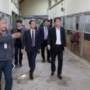 대전승마장 이미지
