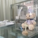 베이크딥