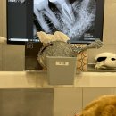 바른길치과의원 | [판교] 최용훈 치과 의원