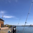 물치모텔 이미지