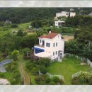 컴투펫 위탁보호센터 이미지