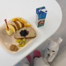 한입주개 이미지